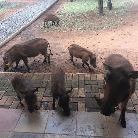 Makhato Bush Lodge 111 贝拉贝拉 外观 照片